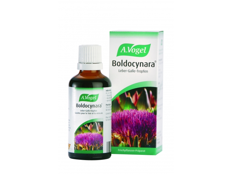 VOGEL Boldocynara Leber-Galle, Tropfen 50 ml